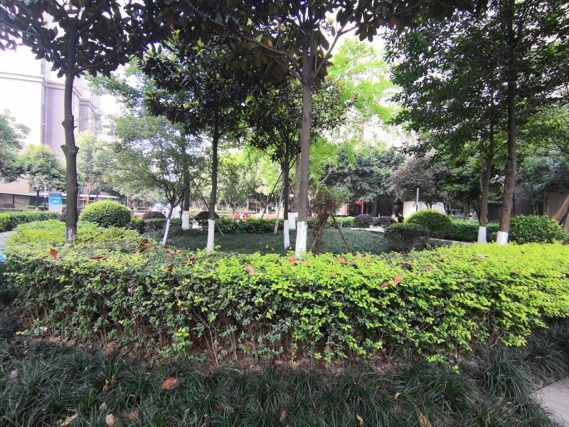 锦城逸景a区