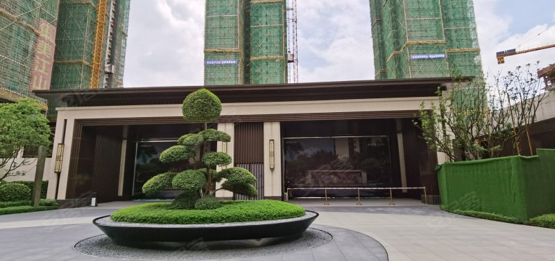 金科集美江山