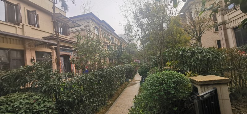 龙湖湘风原著(别墅),银星路-长沙龙湖湘风原著(别墅)