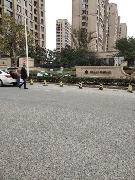 仁恒东郊花园,玉盘北路288弄-上海仁恒东郊花园二手房