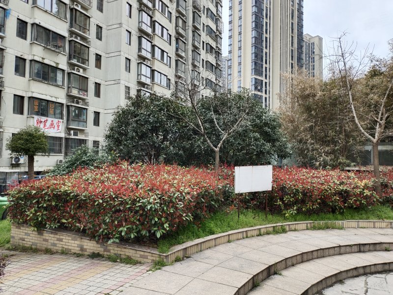 富贵园(弋江),中山南路,近利民路-芜湖富贵园(弋江)二手房,租房,房价