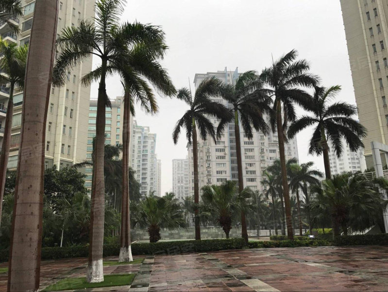 紫荆花园(一区),紫荆路11号-海口紫荆花园(一区)二手