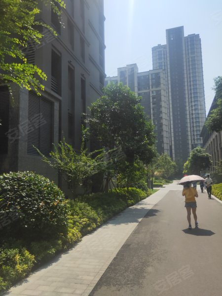 永威枫香庭东院,中州大道-郑州永威枫香庭东院二手房