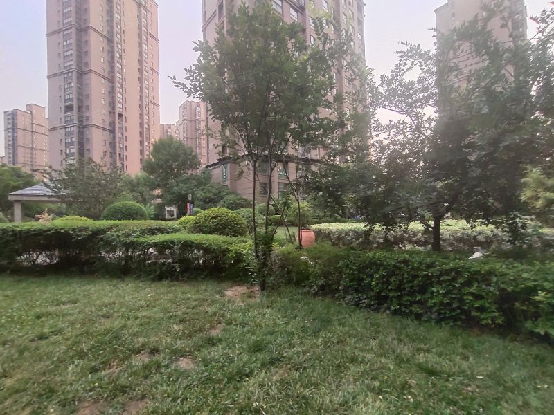 天伦城(一期),鸿宝路,近任庄路-郑州天伦城(一期)二手