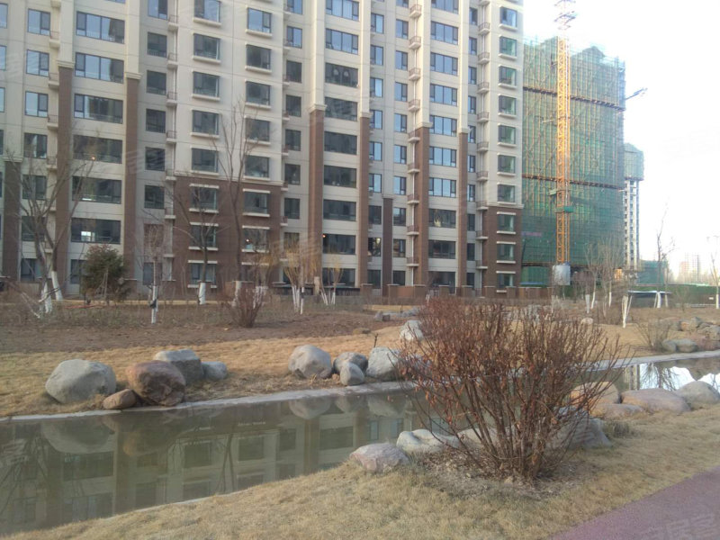 建发枫林湾,宁安大街-银川建发枫林湾二手房,租房