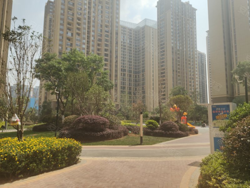 蓝光水岸公园