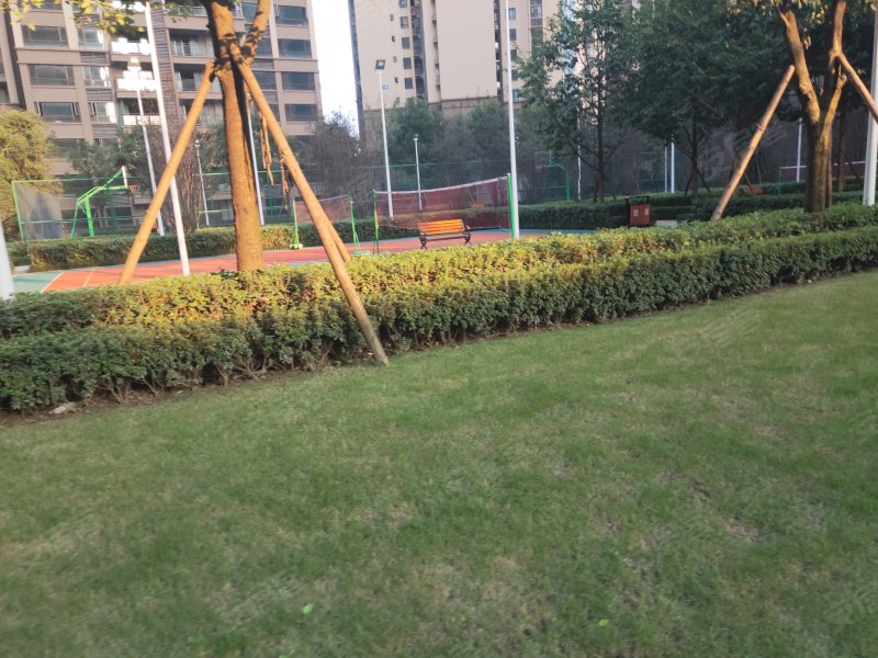 翡翠国际君悦湾,紫荆路716号-乐山翡翠国际君悦湾二手