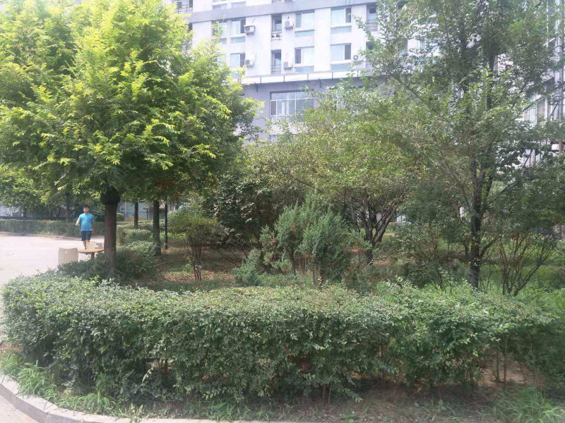 恒运豪庭,奉天街333号-沈阳恒运豪庭二手房,租房,房价