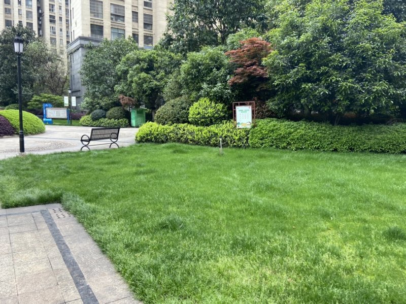 中辉国际一区,江州大道-九江中辉国际一区二手房,租房