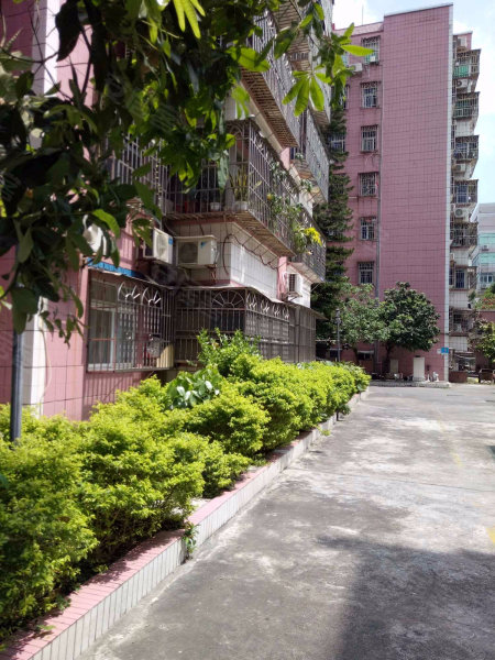 万丰花园,文园路31号-珠海万丰花园二手房,租房,房价-珠海安居客