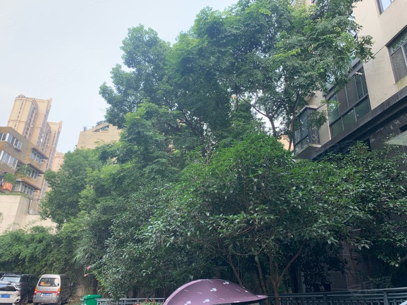 长江长现代城二期,中山南路-芜湖长江长现代城二期房