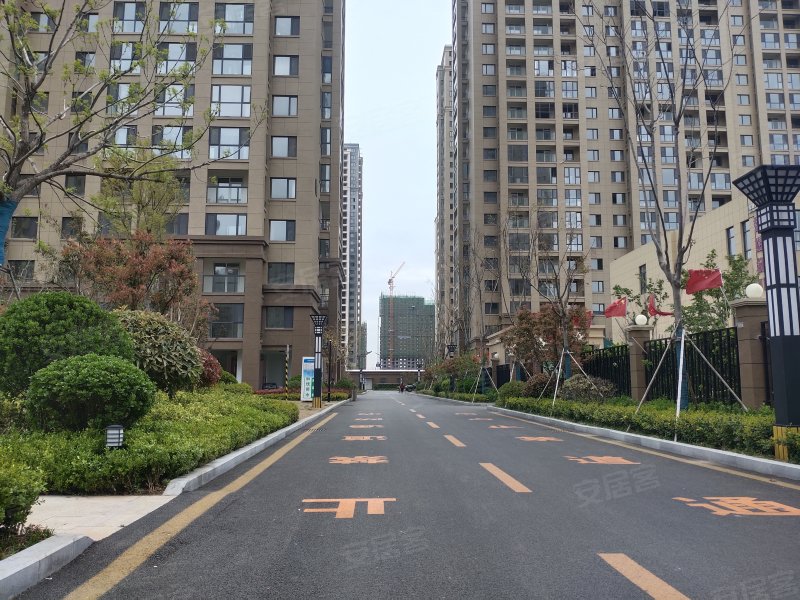 金色兰庭香堤