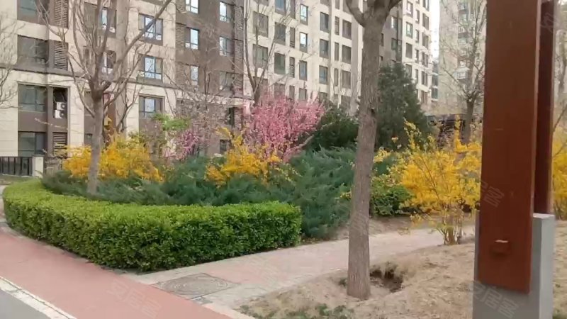 上善颐园芷菱苑,艺术大道-廊坊上善颐园芷菱苑二手房