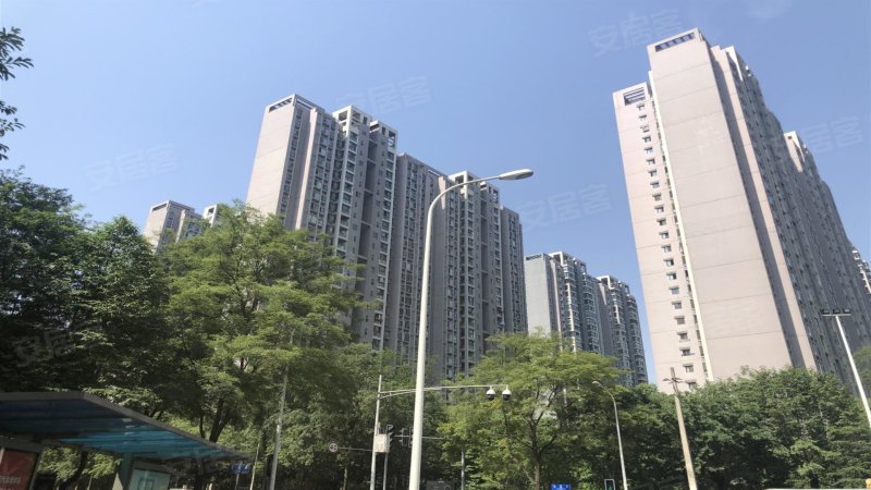 东苑c区,金桂路233号-成都东苑c区二手房,租房,房价