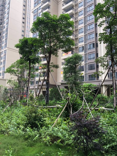 帝豪花园,天后路-肇庆帝豪花园二手房,租房,房价-肇庆