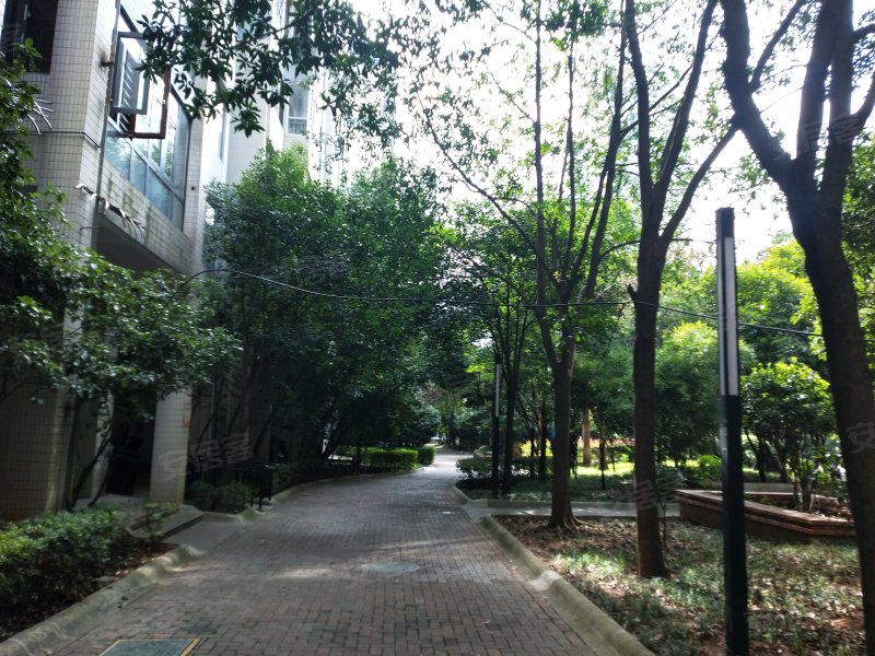 珠江愉景湾,蒸水大道36号-衡阳珠江愉景湾二手房,租房