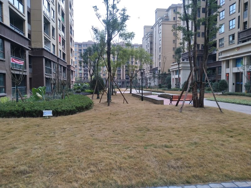 加德城市豪庭,枣山大道-广安加德城市豪庭二手房,租房,房价-广安安居