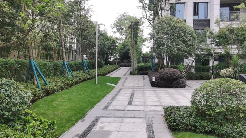 金科博翠湾,康庄街87号-泸州金科博翠湾二手房,租房