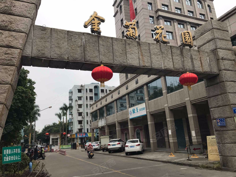金菊花园