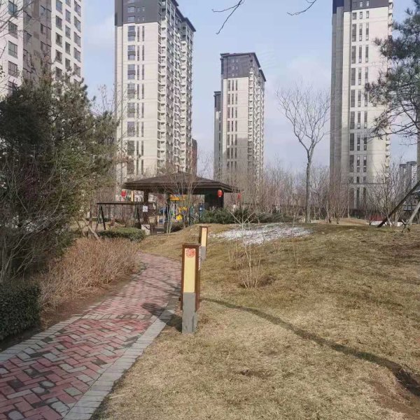 上善颐园芷菱苑,艺术大道-廊坊上善颐园芷菱苑二手房