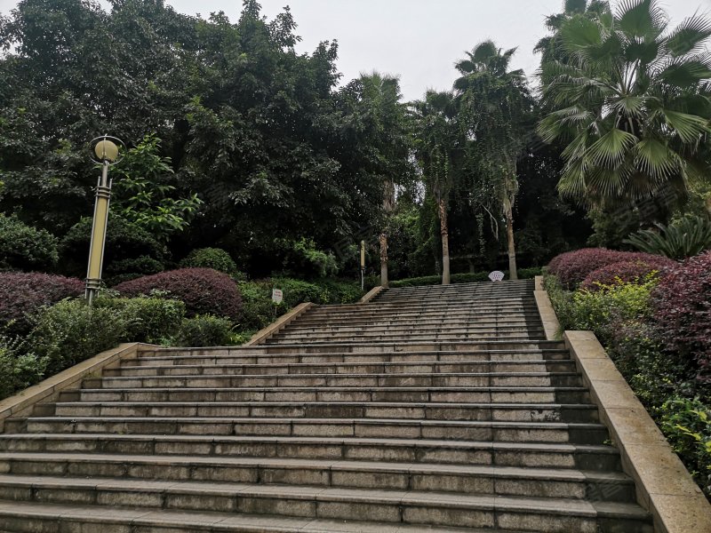 仁和半岛,仁和路中段-自贡仁和半岛二手房,租房,房价