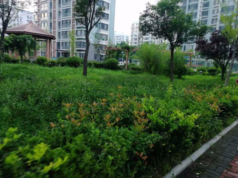柳青齐鲁园,兰亭路-临沂柳青齐鲁园二手房,租房,房价-临沂安居客