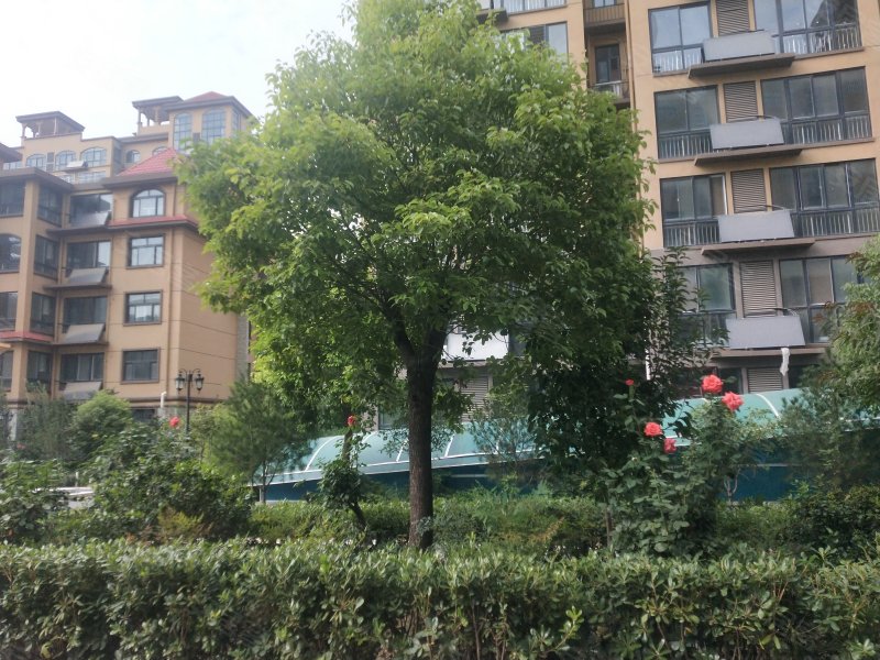 润泽花园