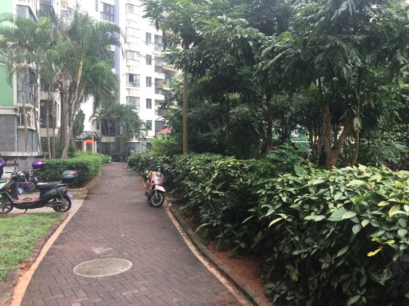 怡心园,和平大道57号-海口怡心园二手房,租房,房价-海口安居客