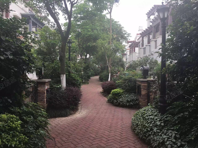 中信森林湖(别墅),东莞大道-东莞中信森林湖(别墅)房