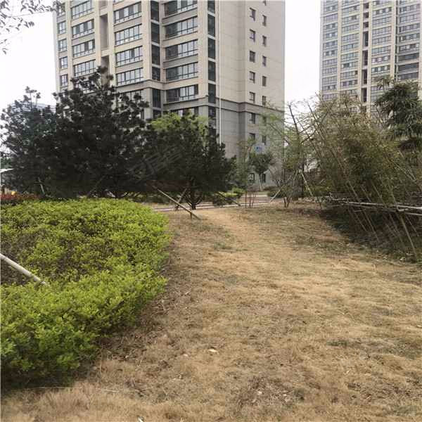 王府花园,迎胜南路-泰安王府花园二手房,租房,房价-泰安安居客