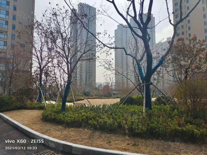 金色兰庭香堤