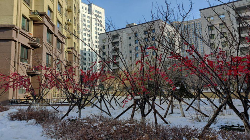 上城碧水华庭,西顺达路-长春上城碧水华庭二手房,租房,房价-长春安居