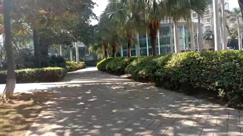 紫荆花园(一区),紫荆路11号-海口紫荆花园(一区)二手
