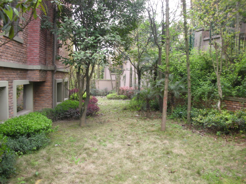 常青藤,果塘路197号-重庆常青藤二手房,租房,房价