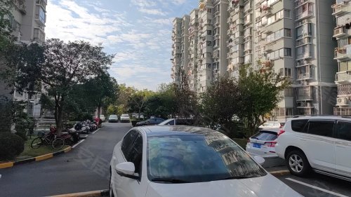 绿色丽园535弄