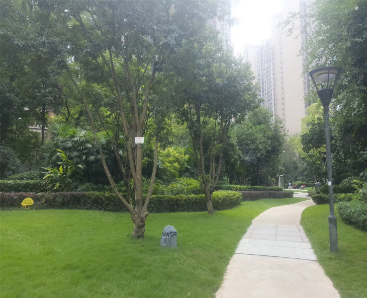 鲁能星城五街区,尚品路777号-重庆鲁能星城五街区二手