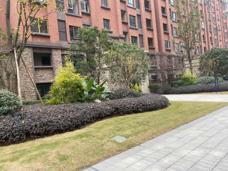 金科天宸八街区,西盛路31号-重庆金科天宸八街区二手房,租房,房价