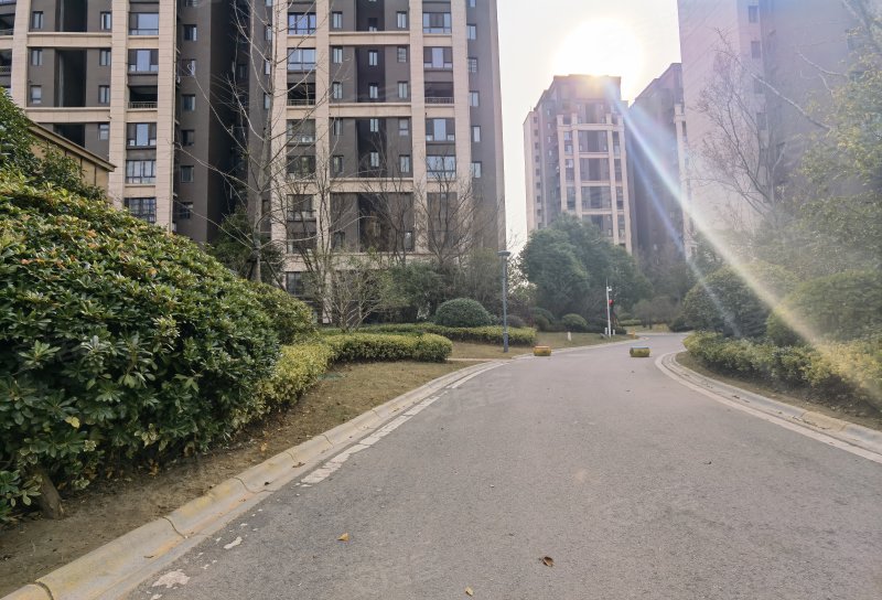 绿地泊林公馆(南区,彭祖大道-徐州绿地泊林公馆(南区)二手房,租房