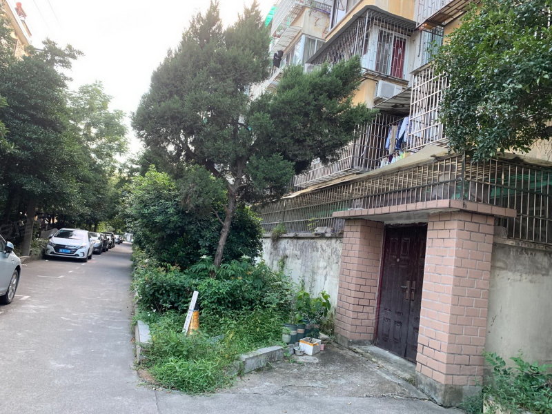 新星小区,三墩街-杭州新星小区二手房,租房,房价-杭州安居客