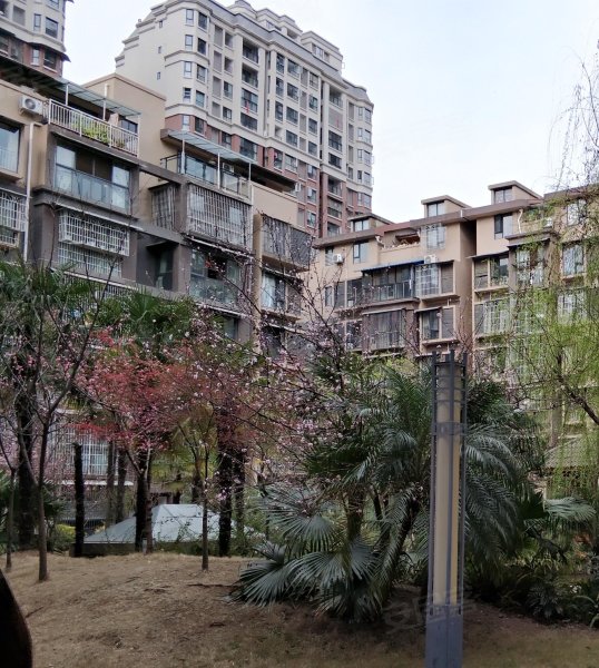 艺墅南岸,嘉陵江西路269号-德阳艺墅南岸二手房,租房,房价-德阳安居客
