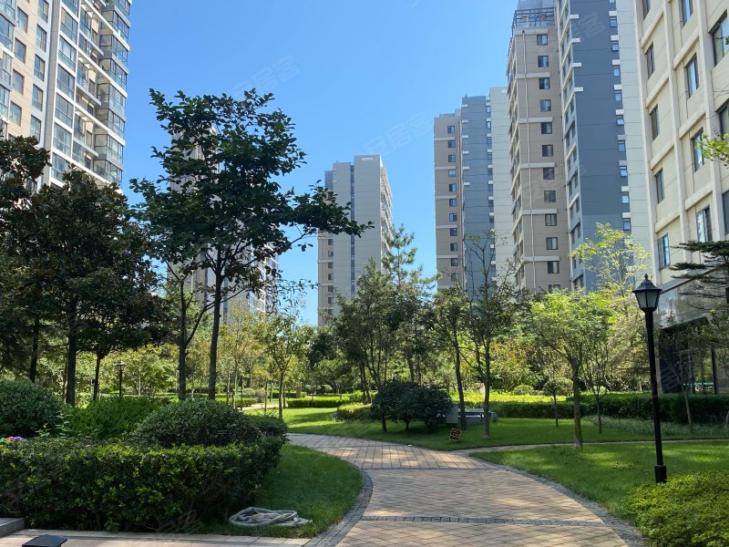 麦岛金岸,东海东路1号-青岛麦岛金岸二手房,租房,房价