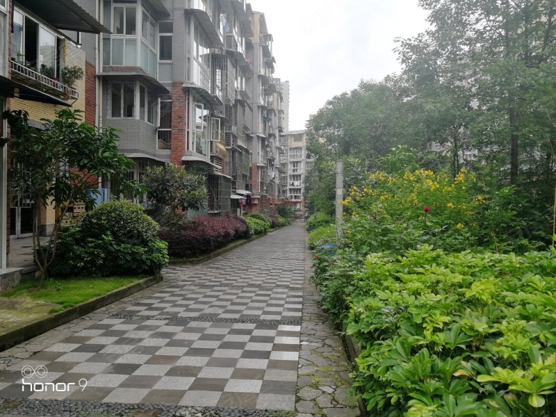 大西洋汇东壹品,汇东路,近汇川路-自贡大西洋汇东壹品