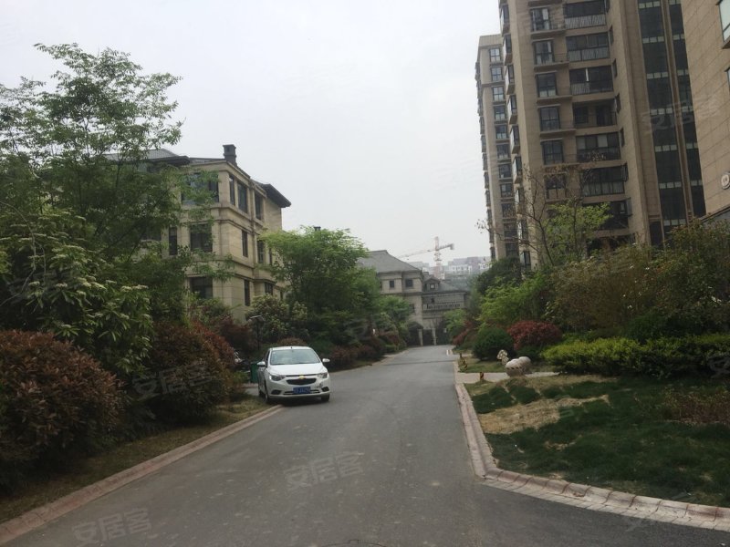 华府翡翠庄园,汤王大道,近养生大道-亳州华府翡翠庄园