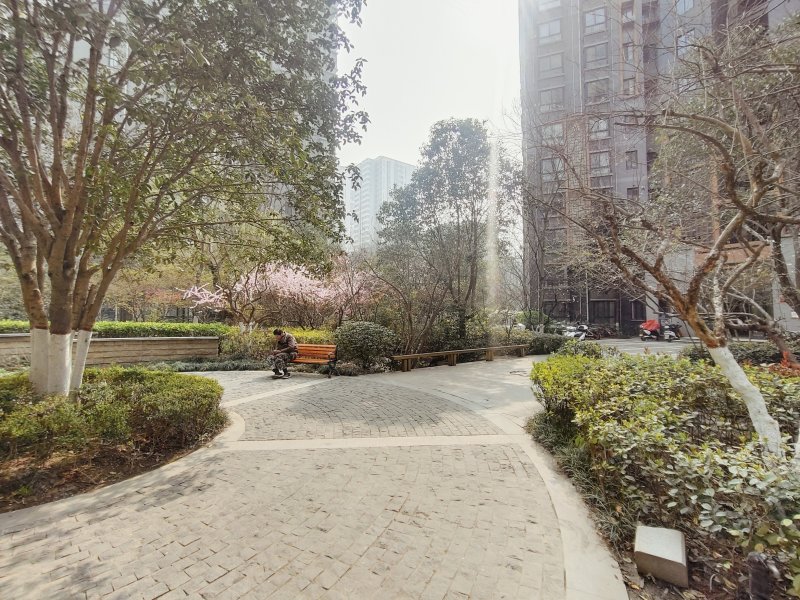 高新枫林华府,团结南路,近无名路-西安高新枫林华府房