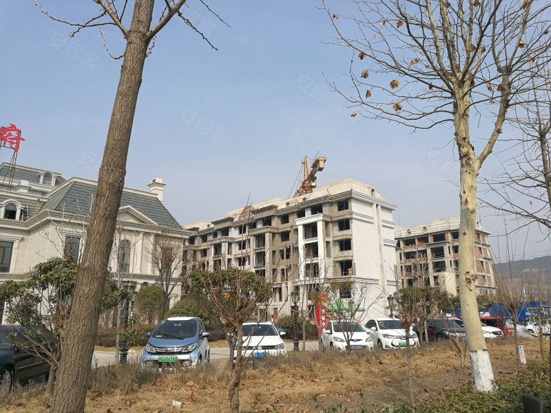润扬首府,武夷山路,近浦东路-枣庄润扬首府二手房