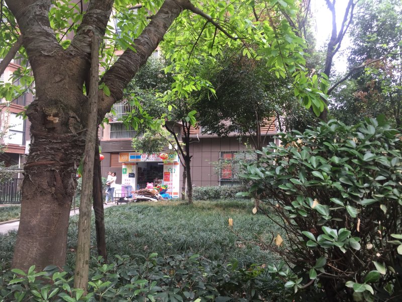 锦城逸景b区,锦丰三路28号-成都锦城逸景b区二手房,租房,房价-成都