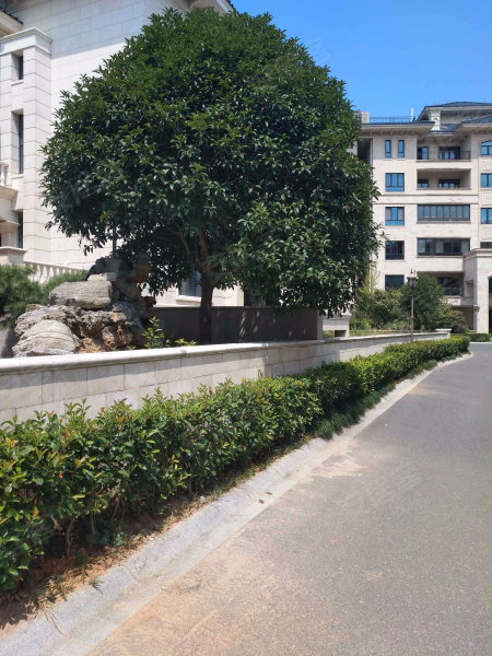翠堤雅苑,环城南路-义乌翠堤雅苑二手房,租房,房价-义乌安居客