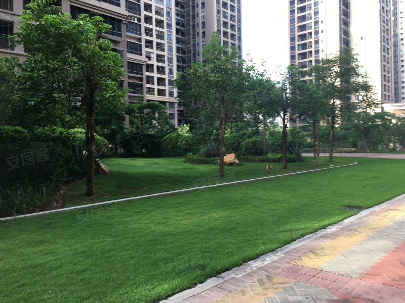 德洲中心城,中兴北路-惠州德洲中心城二手房,租房