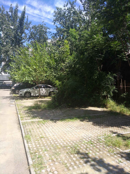 豪柏大厦,西三环北路50号院6-8号-北京豪柏大厦二手房,租房,房价-北京