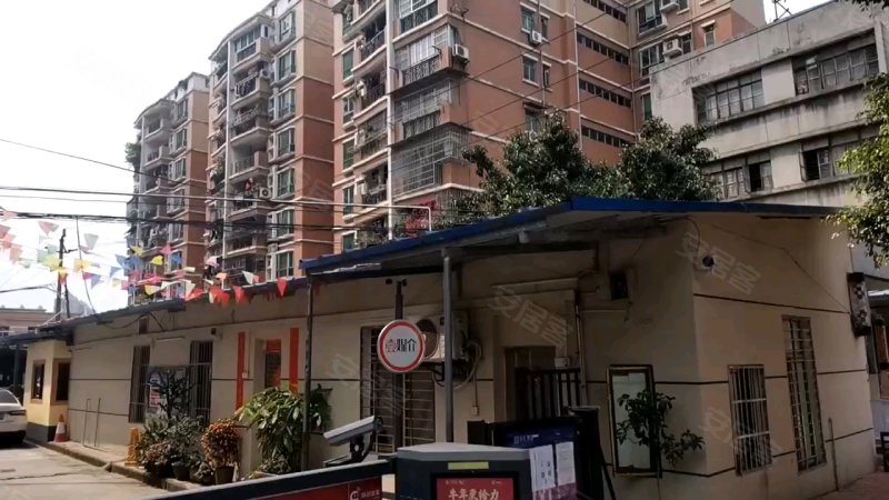 罗冲围松鹤园小区